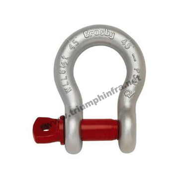 Bow Shackle